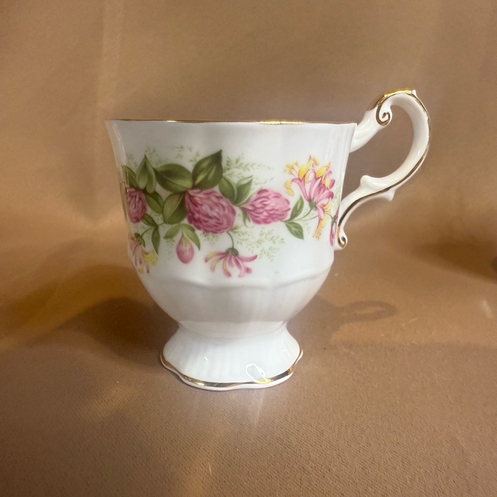 Rosina Fine Bone China Teacup - Picture 1 of 7
